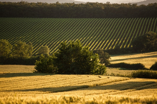 Umbria: the Italian Region where Tradition and Nature Thrives