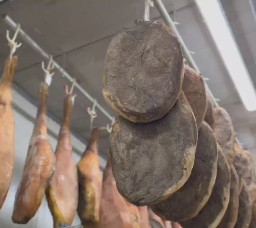 Load video: Finest cheeses and cuts from Umbria